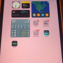 iPad 