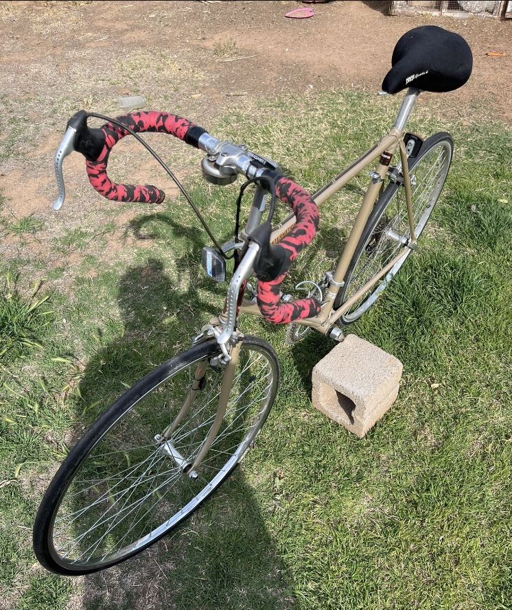 1983 Nishiki International Bike