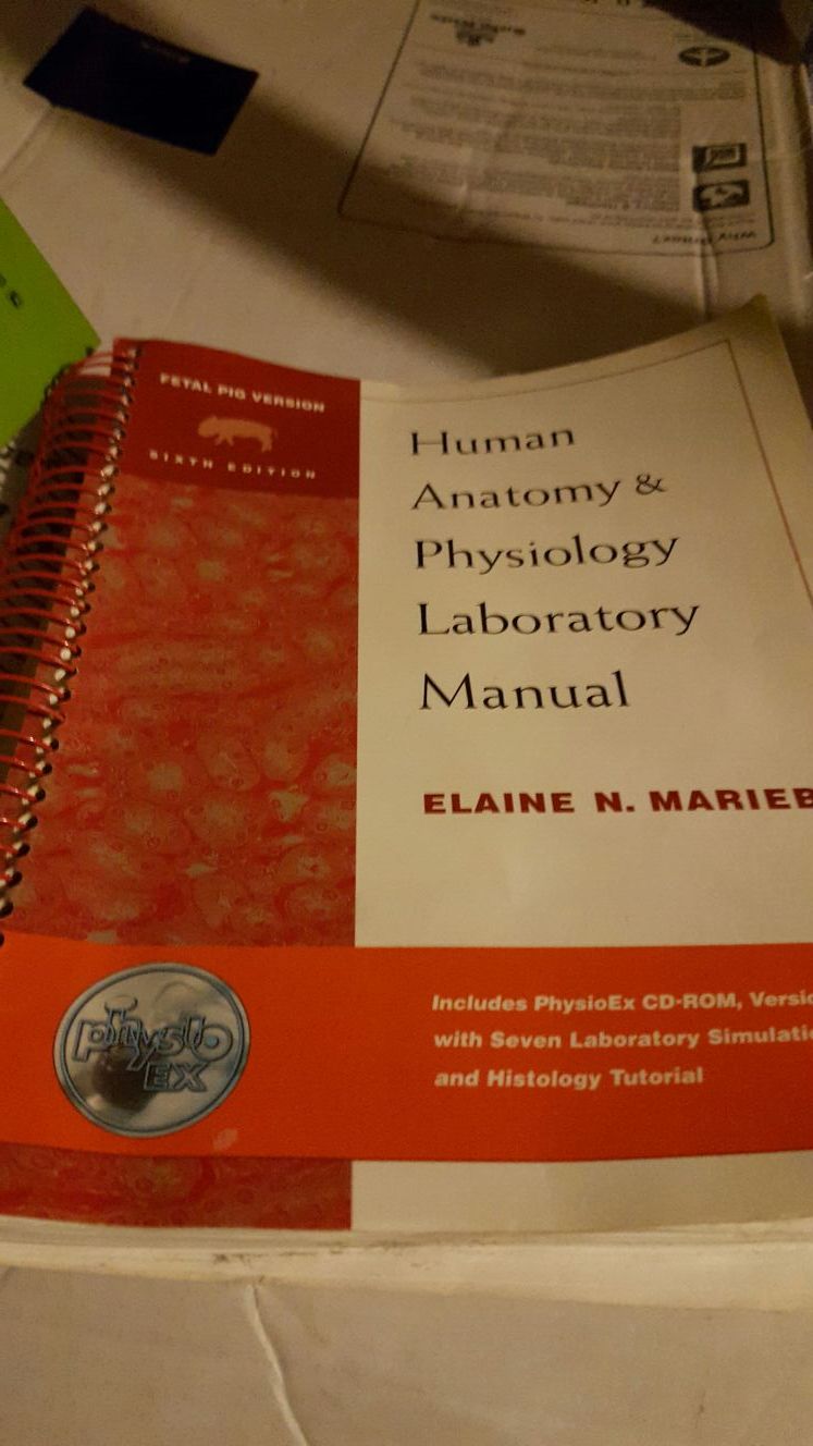 Human anatomy and physiology lab manual