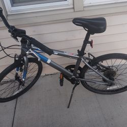 Adult Bike