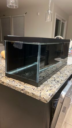 20 gallon long tank