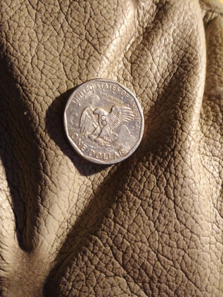 Not Sure Of The Coin It Does Have Wide Rim To Thin Rim And Not A Clue What That Is On The Eagle