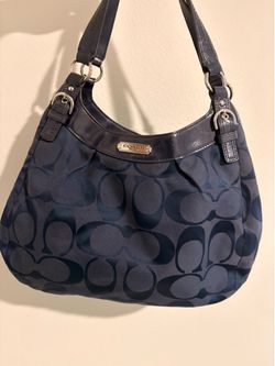 Coach y2k bag (no trades)