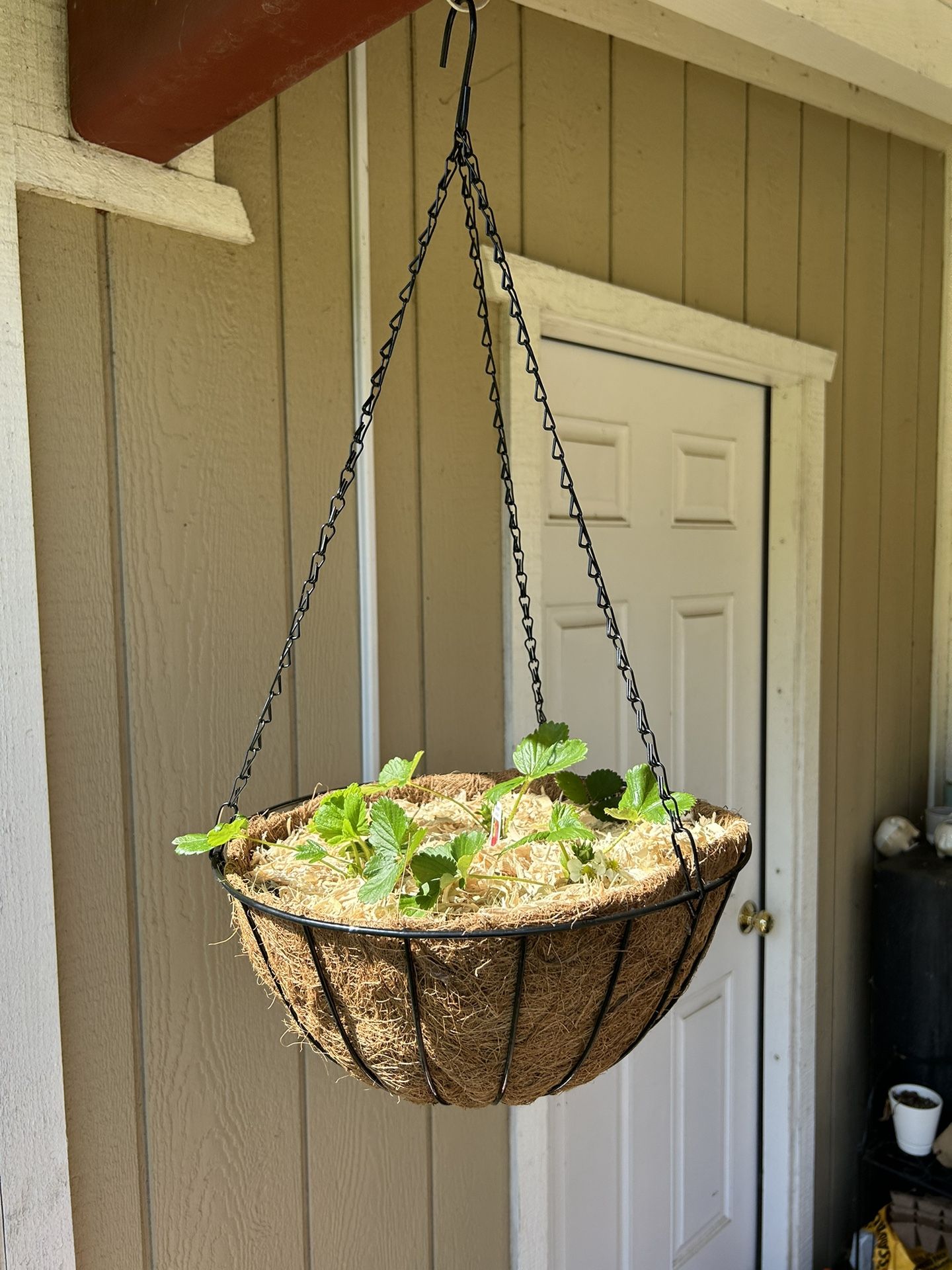 Hanging Strawberry Planter