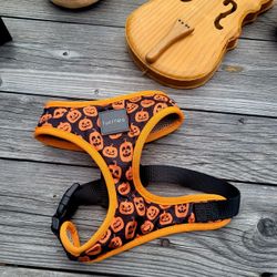 FuzzYard Dog Halloween Harness 