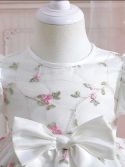 Little Girls Special Occasion Dresses