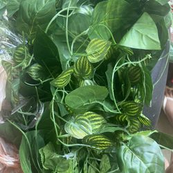 Artificial Vines 