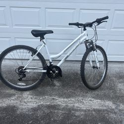 Adult Mountain Bike