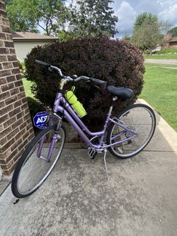 DB. DiamondBackWomen’s Bicycle