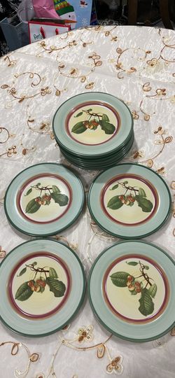 12 pcs Vintage 1748 Villeroy & Boch Plates 