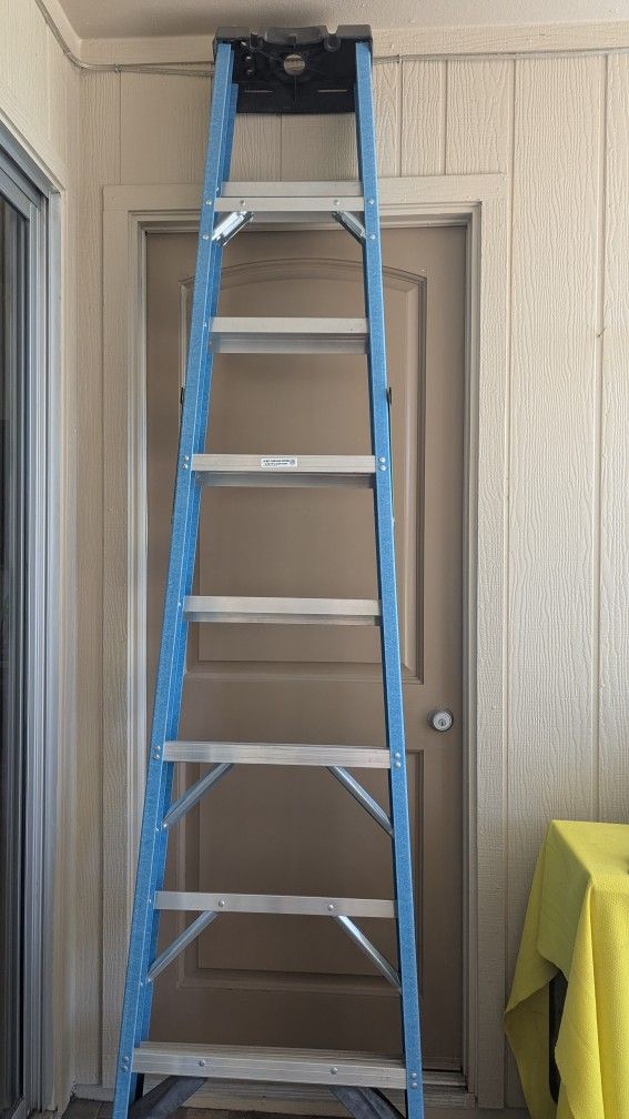Werner 8 Ft. Ladder