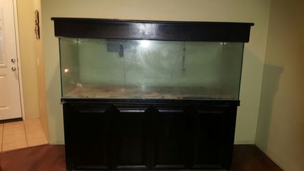 200 gallon fish tank comes with everything