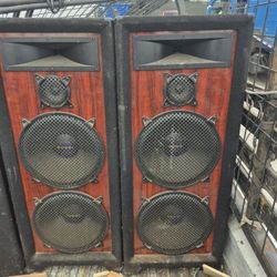 Welton Pro Series Studio Speakers