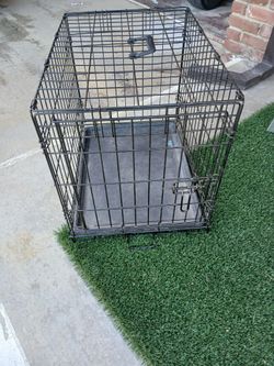 Dog Kennel