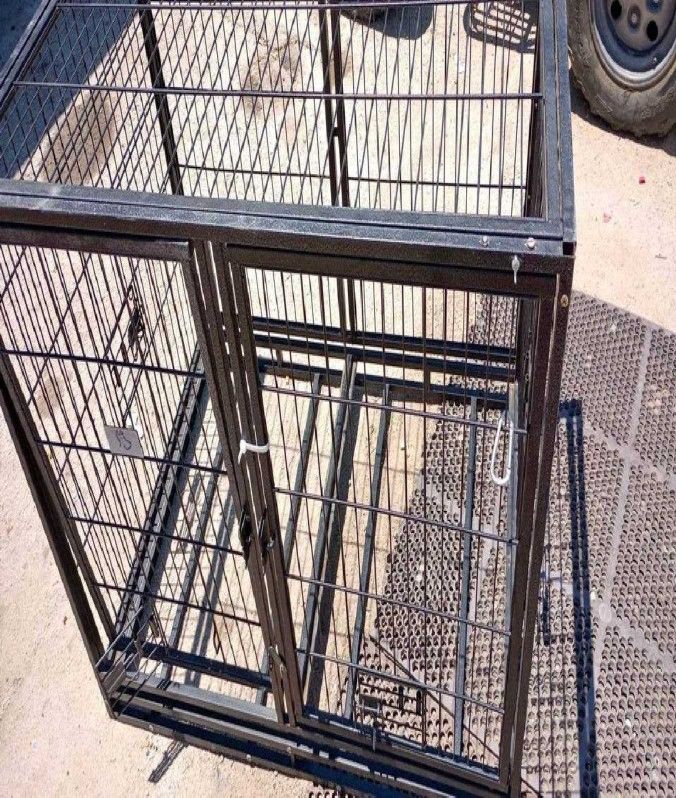 Sturdy Pet Enclosures – Safety and Rest for Your Friend family even