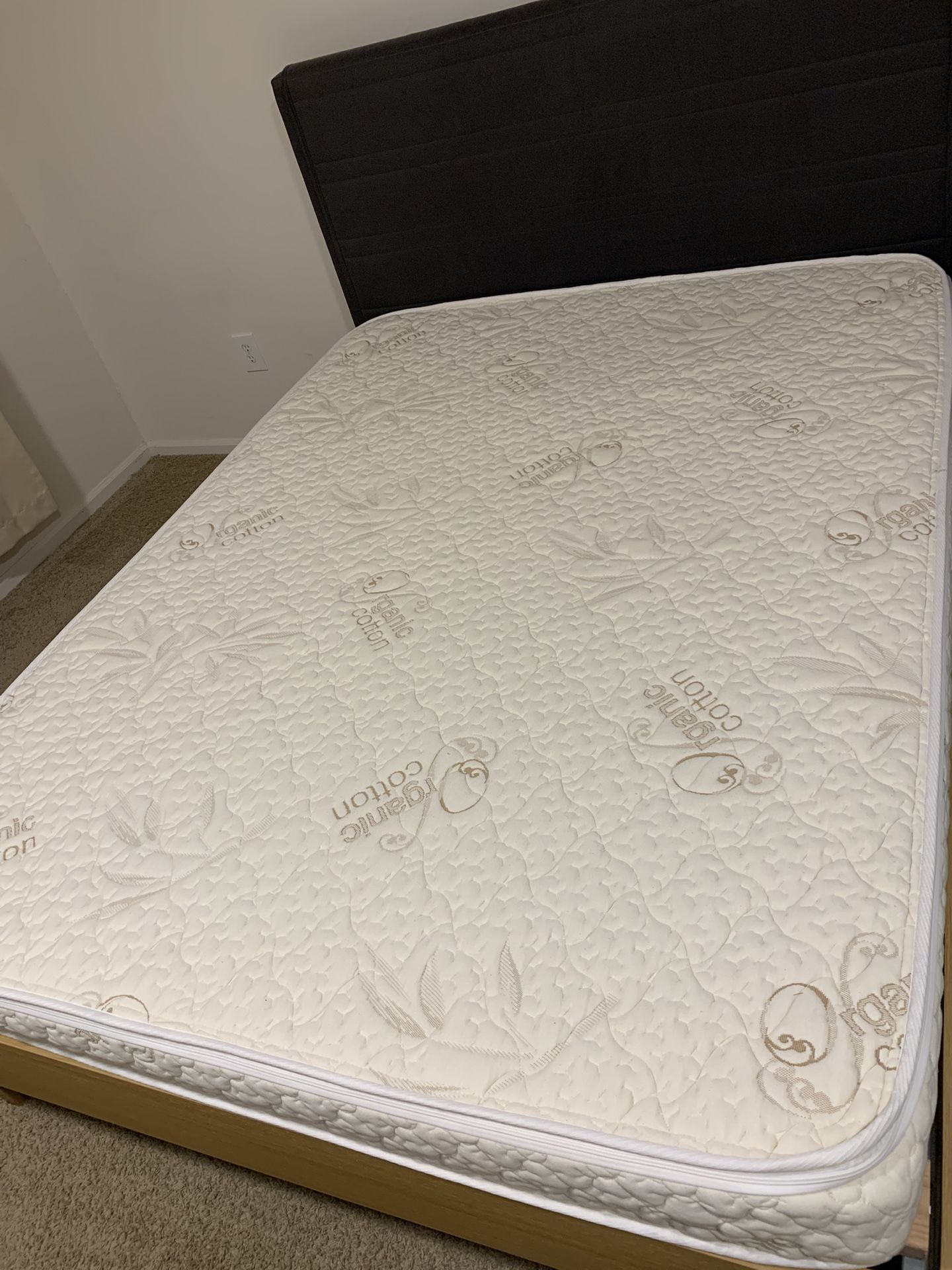6" Queen size All Natural Dunlop Latex mattress