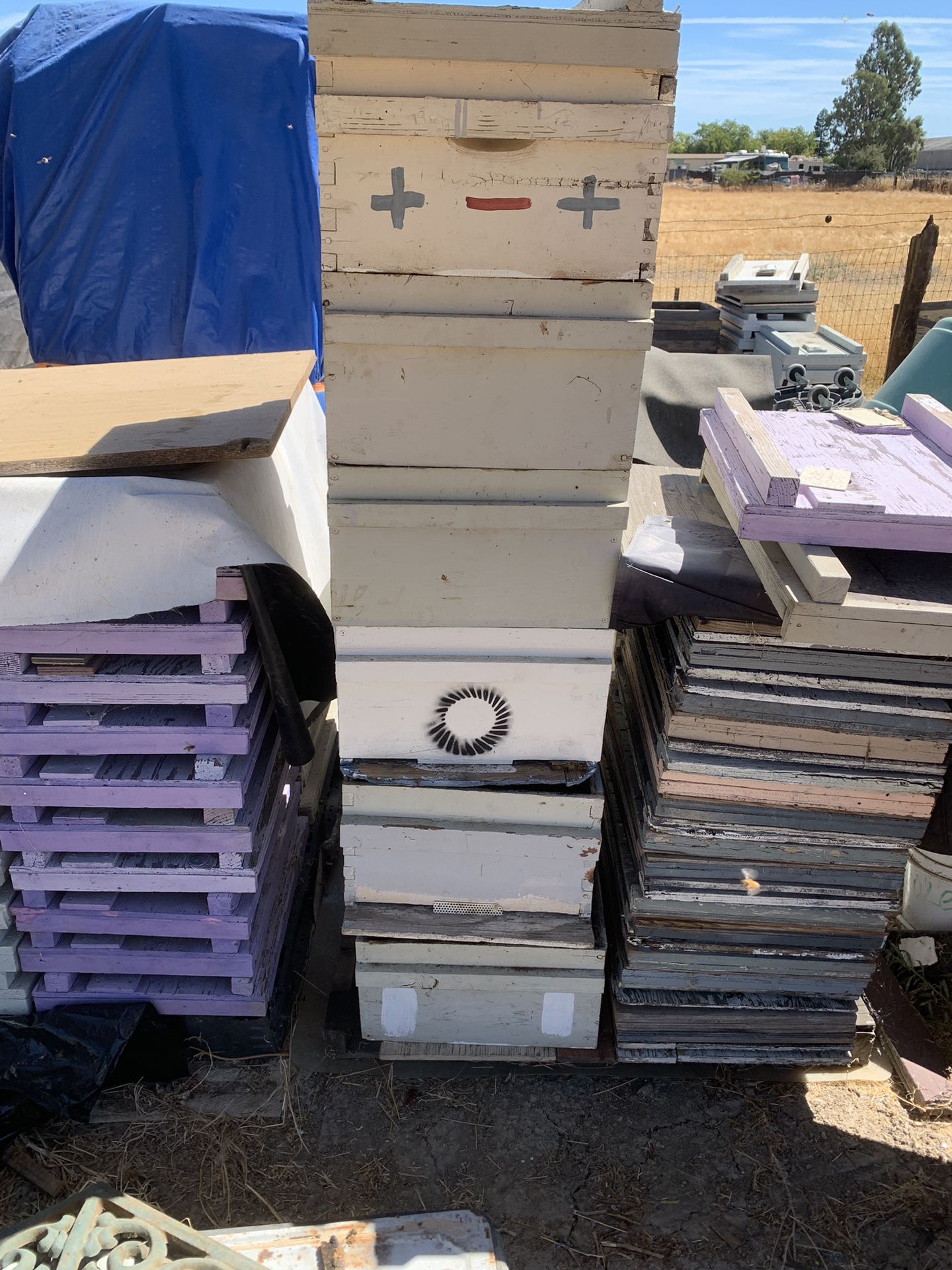 Beehives-$20::top Cover Lids-$5 :: Pallets-$5