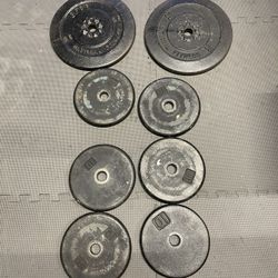 Weights Plates.                  100 Dollars 