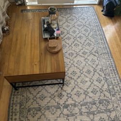 Pottery Barn Rug