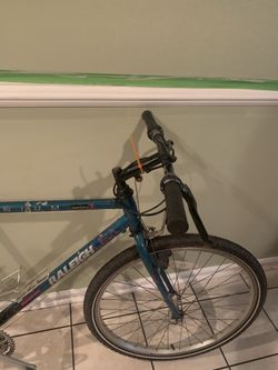 Raleigh Bike