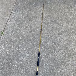 6’6” fishing pole