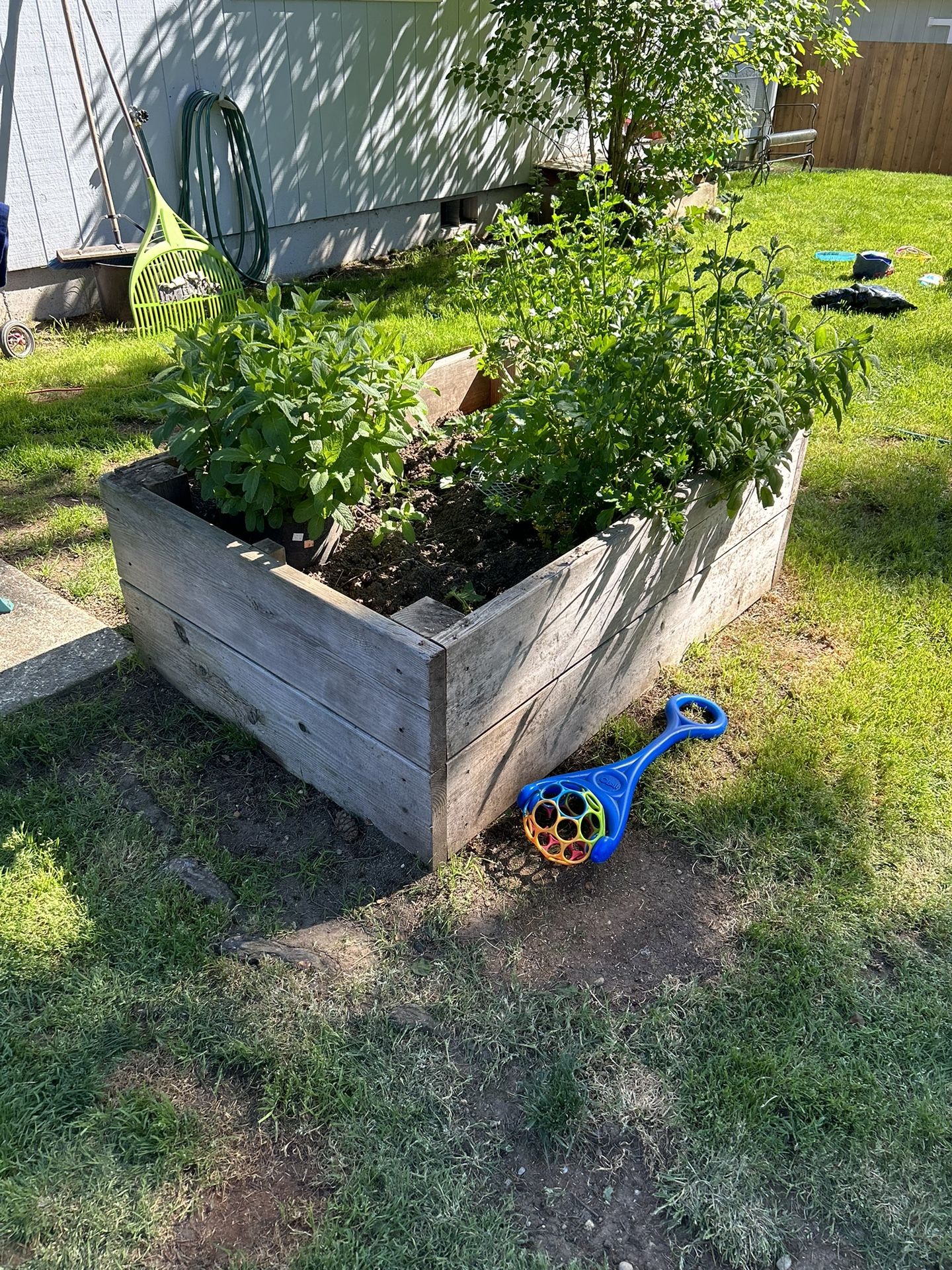 Garden Beds for Sale in Olympia, WA OfferUp