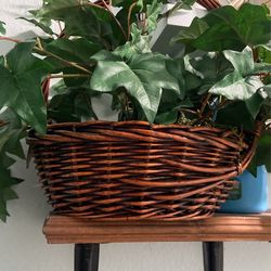 Decor Basket, Plants