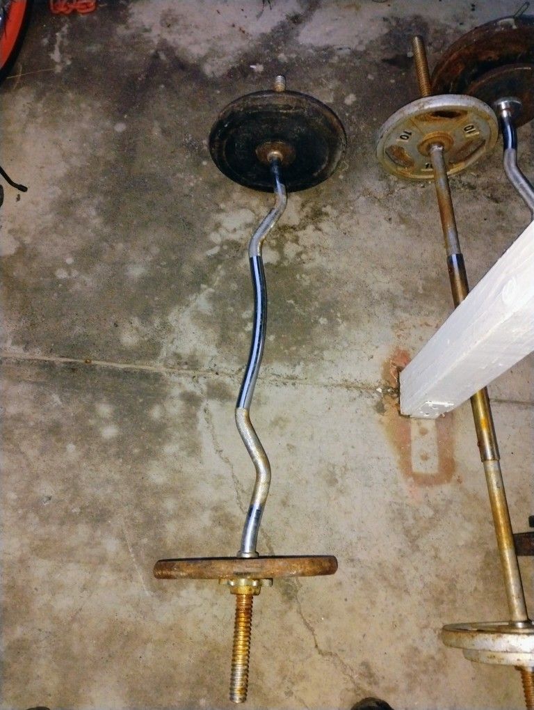 Curl Bar And Straight Bar