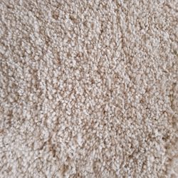 Carpet New 