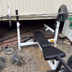 Bench And Weighs
