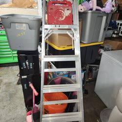 Werner 6' Aluminum Ladder 