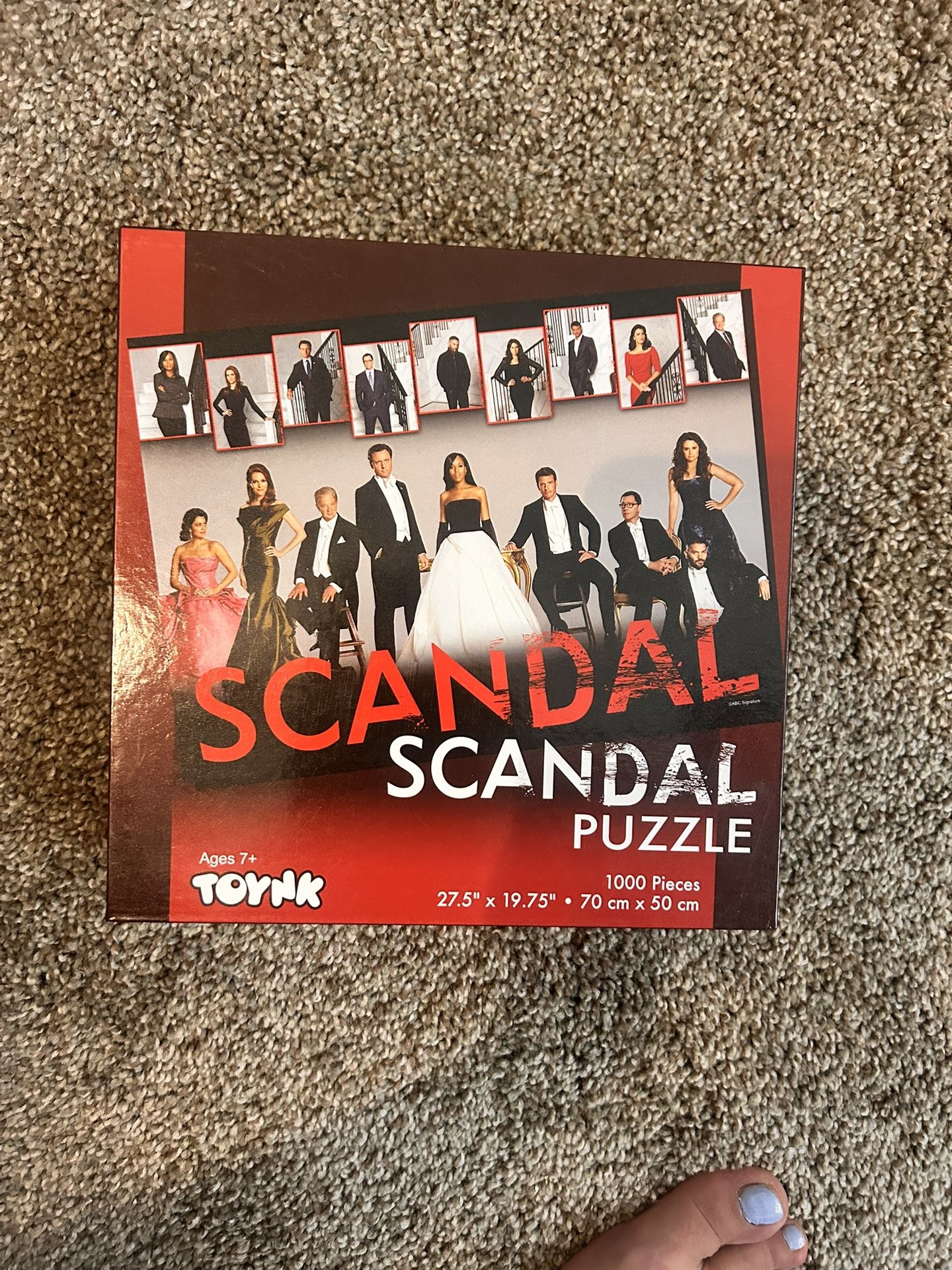 Toynk - Scandal - 1000 Piece Puzzle