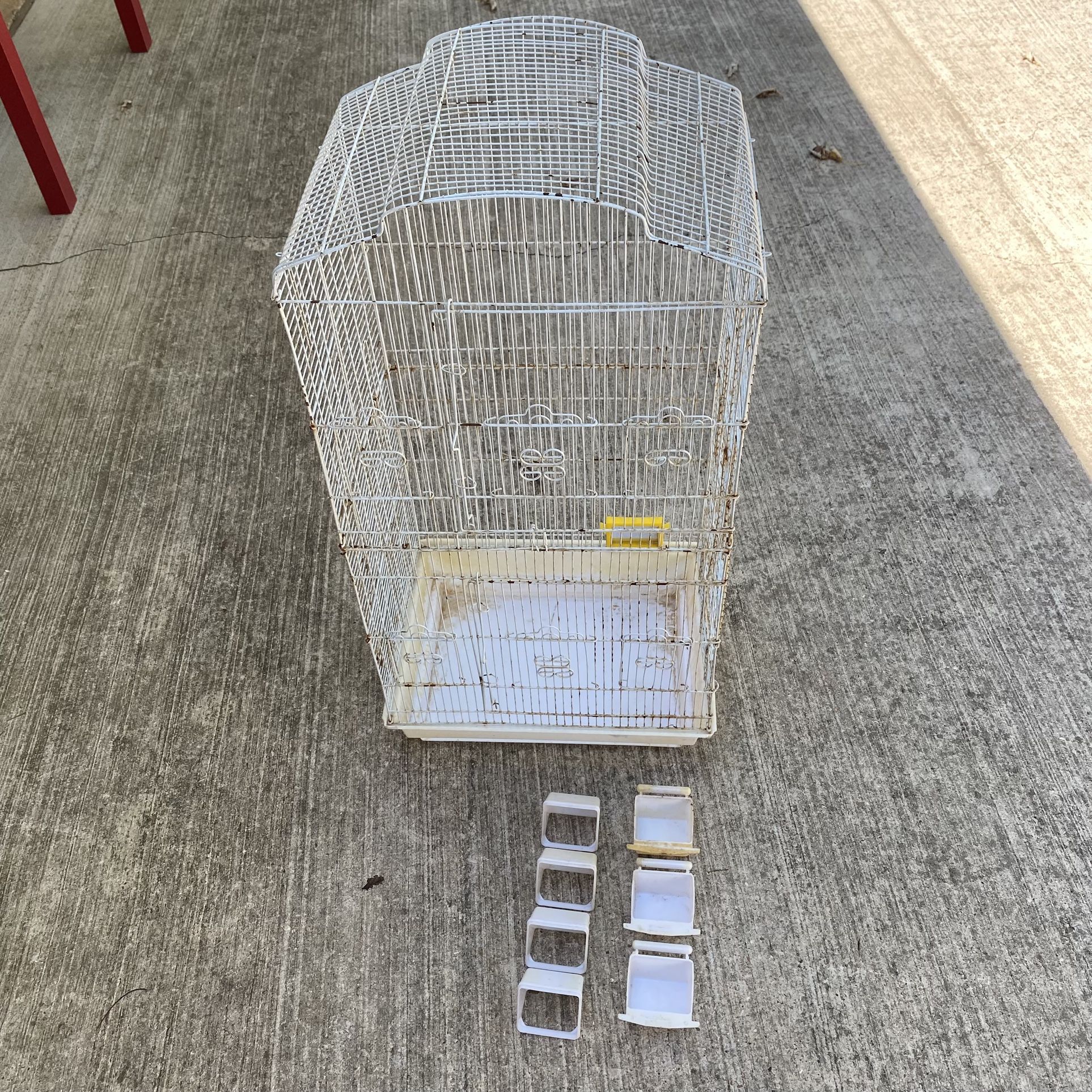 Bird Cage
