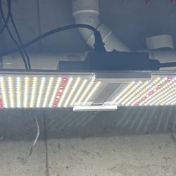Maxisun Pro Remote Control Grow Light 