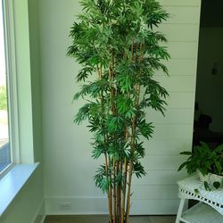 Large Artificial Baboo Plant