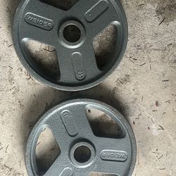 35 lb weider plate （2pc）