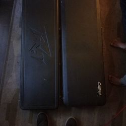Electric Guitar Cases Carvin And  Teavey