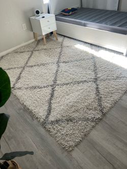 Rug - Shag Area Rug