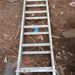 Extension Ladder 🪜