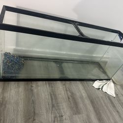 55 Gallon Fish Tank 