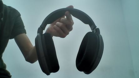 Sennheiser HD 600 Wired Open-Back Headphones