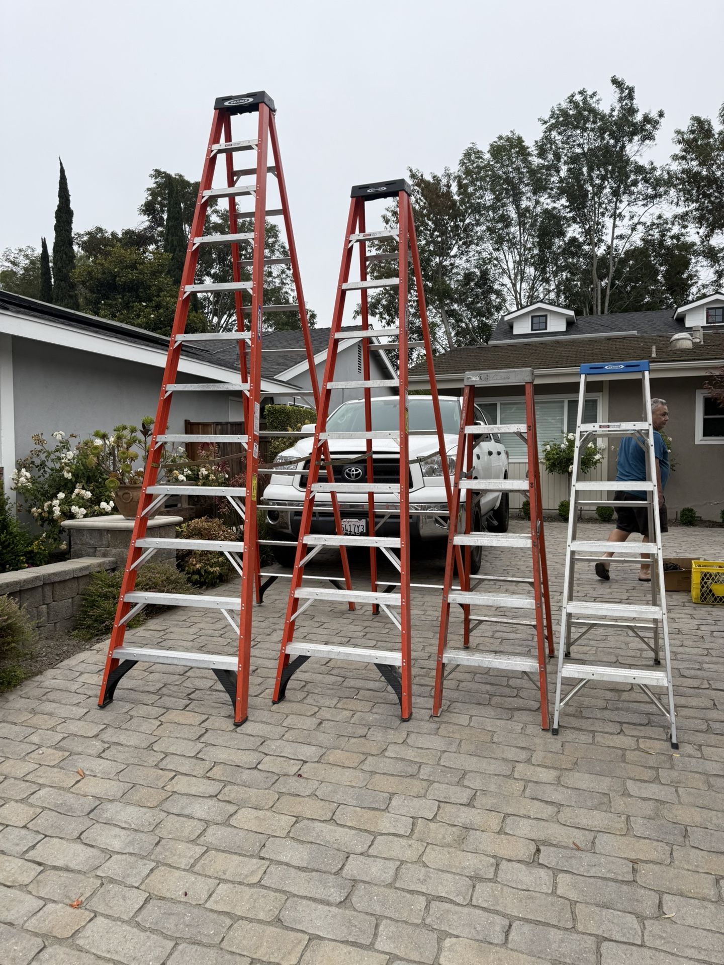 Werner Ladders