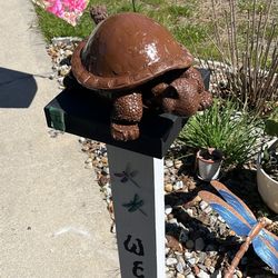 Adorable Brown turtle