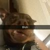 SAMUELC
