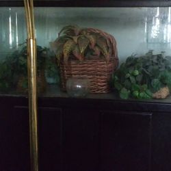 100 GAL Fish Tank And Wood Stand