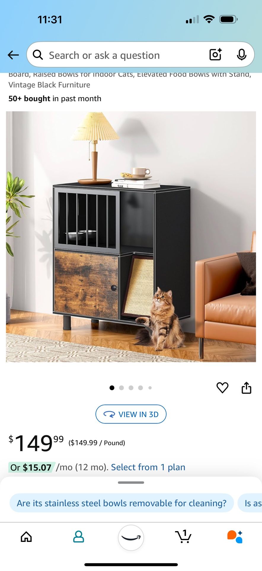 Cat Feeding Station