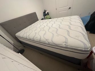 CAMA QUEEN