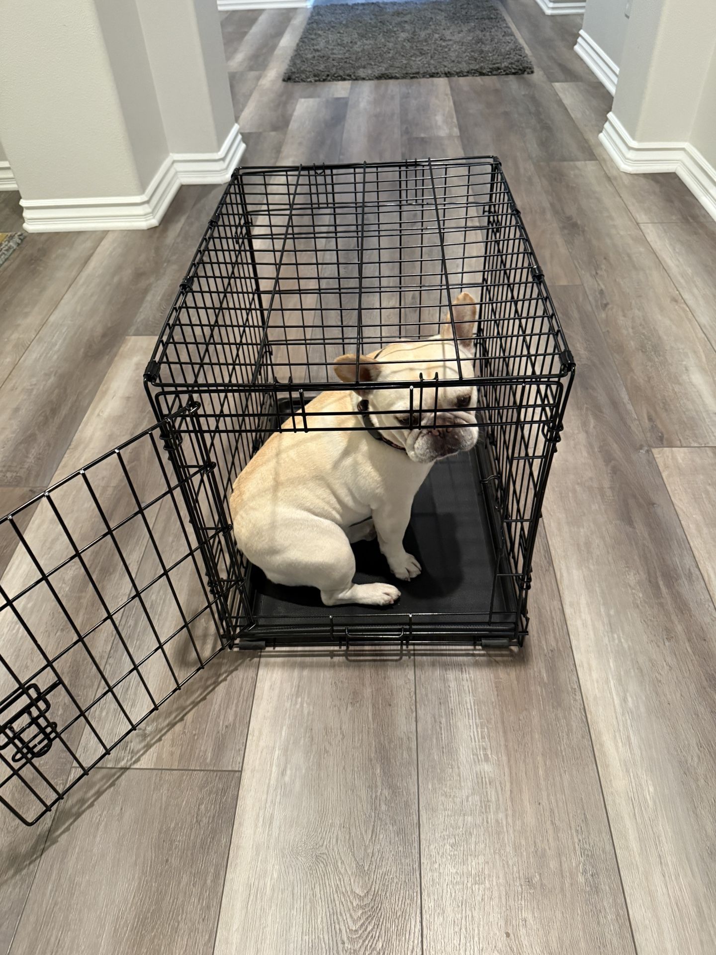 Wire Dog Crate, Small