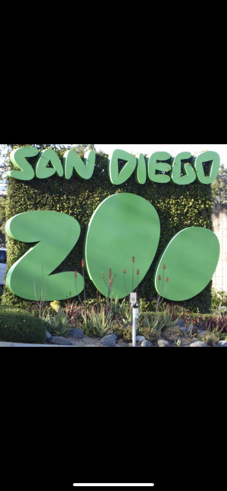 WANTED: 4 San Diego Zoo Tickets for Today SUNDAY 20th Am!. 😱🙆🏻‍♂️🤔cheap and legit!. Cash on hand ! 😎🤙🏼