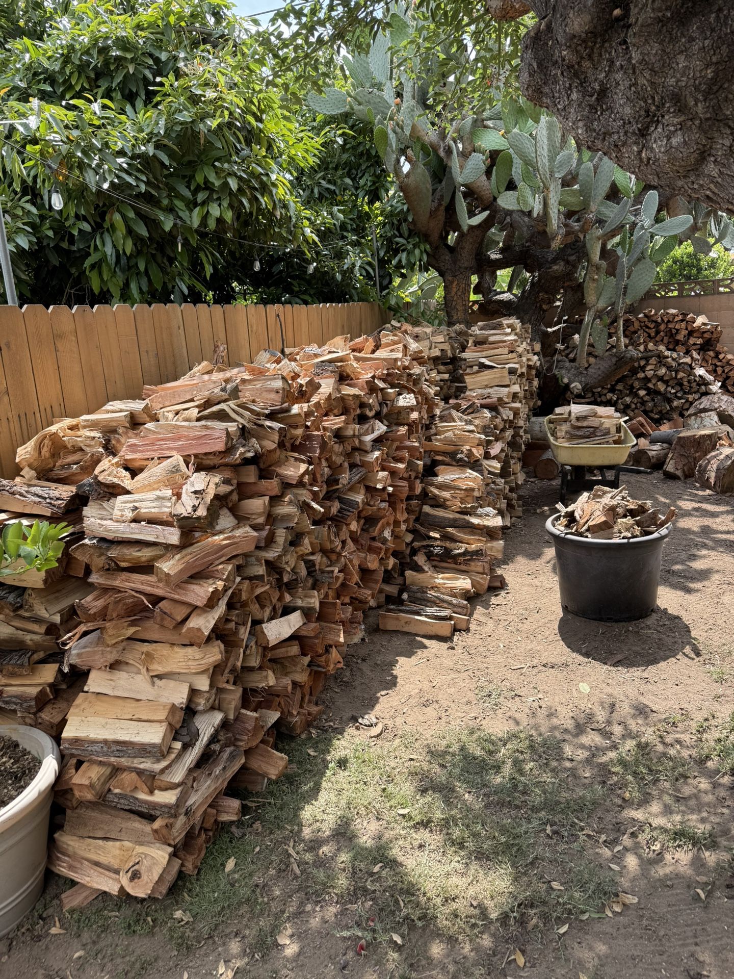 Firewood 🪵 🔥
